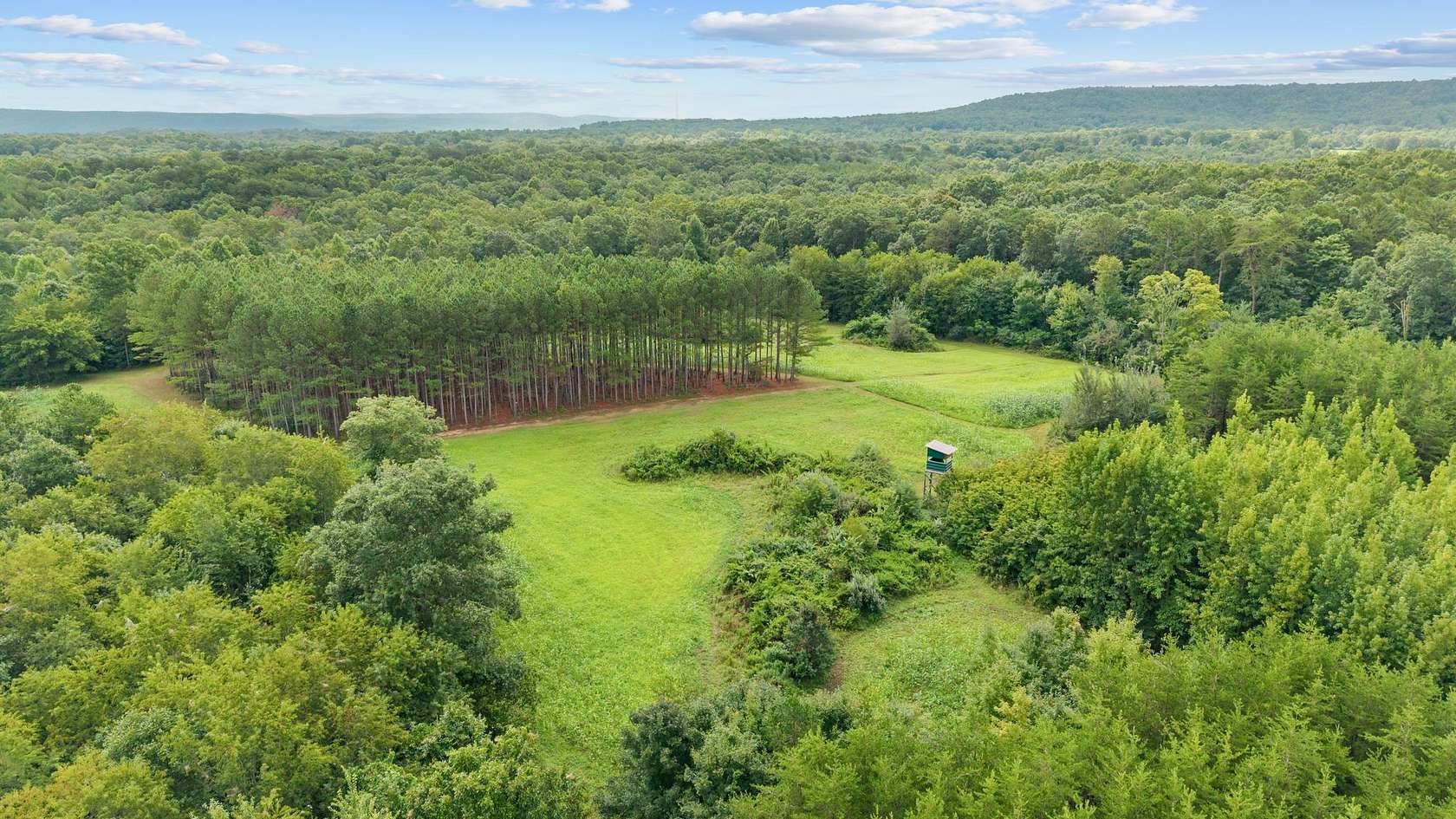 55 Acres of Land for Sale in Palmer, Tennessee