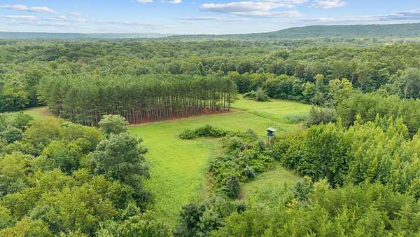 55 Acres of Land for Sale in Palmer, Tennessee