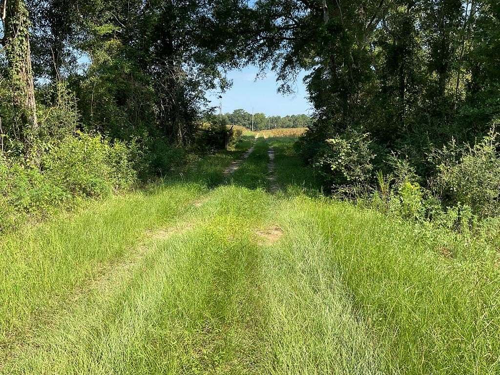 38.7 Acres of Land for Sale in Dozier, Alabama