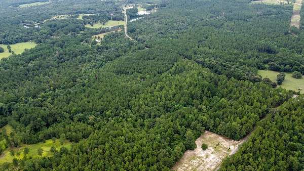 9.48 Acres of Land for Sale in Perkinston, Mississippi