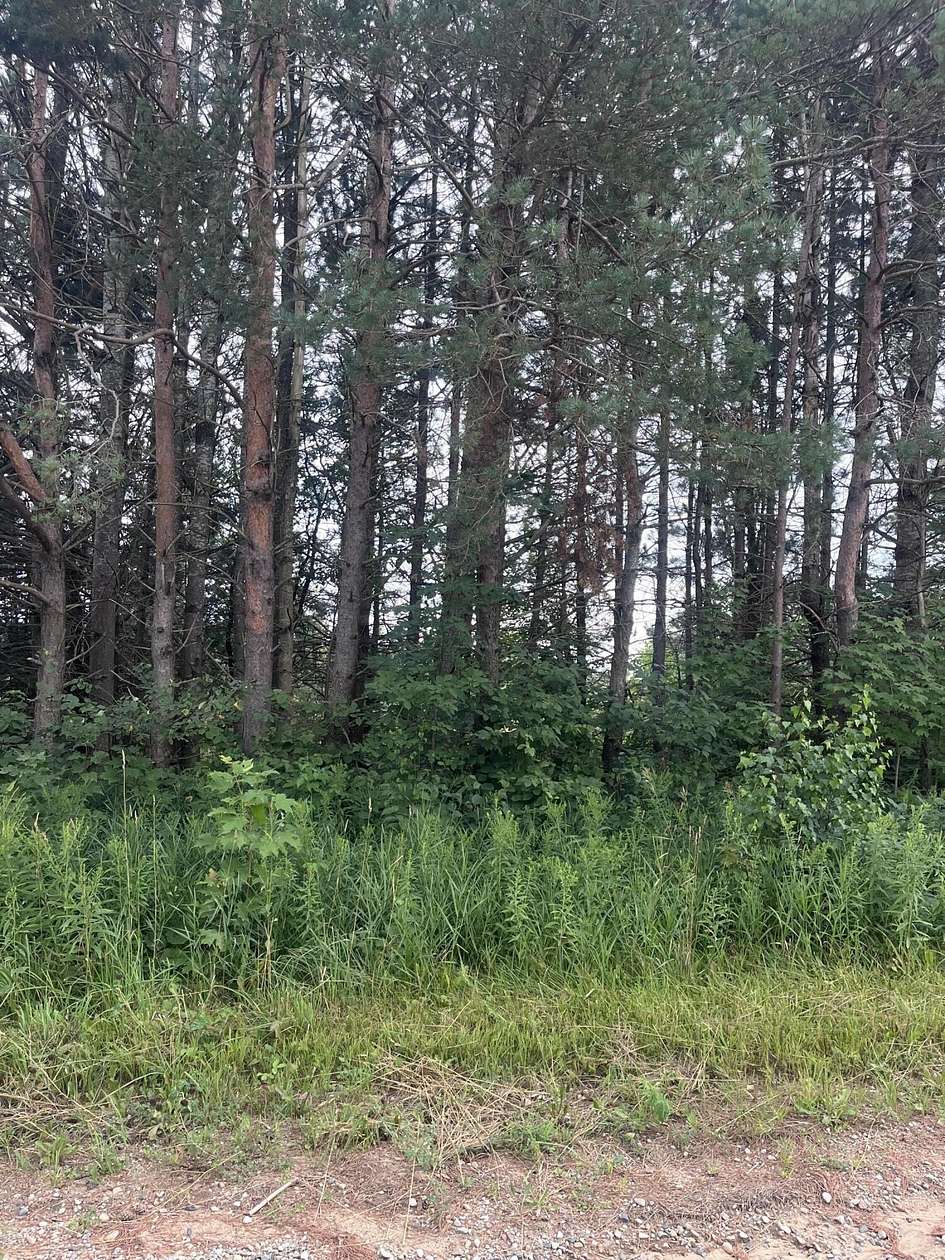 Residential Land for Sale in Elmira, Michigan