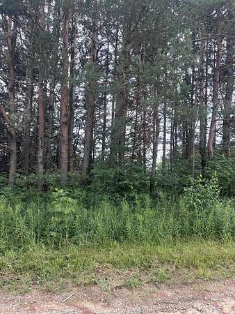 Residential Land for Sale in Elmira, Michigan