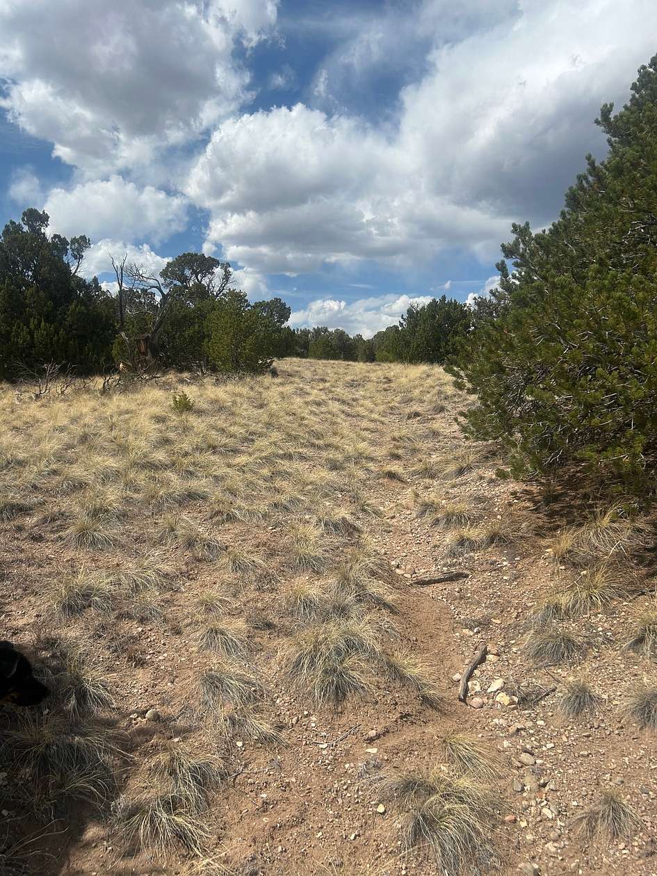 244 Acres of Land for Sale in Walsenburg, Colorado