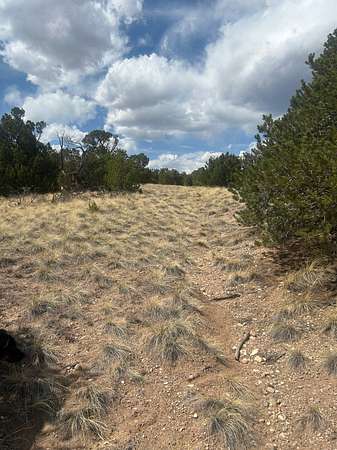 244 Acres of Land for Sale in Walsenburg, Colorado