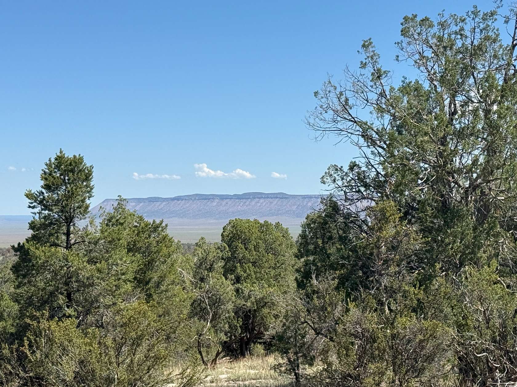 1.83 Acres of Residential Land for Sale in Seligman, Arizona