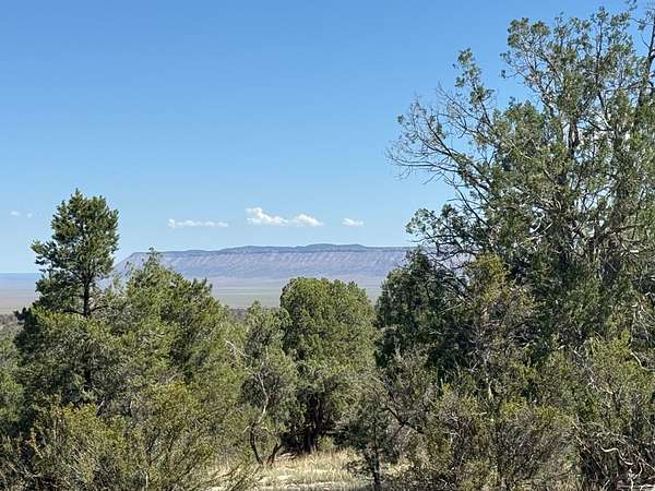 1.83 Acres of Residential Land for Sale in Seligman, Arizona