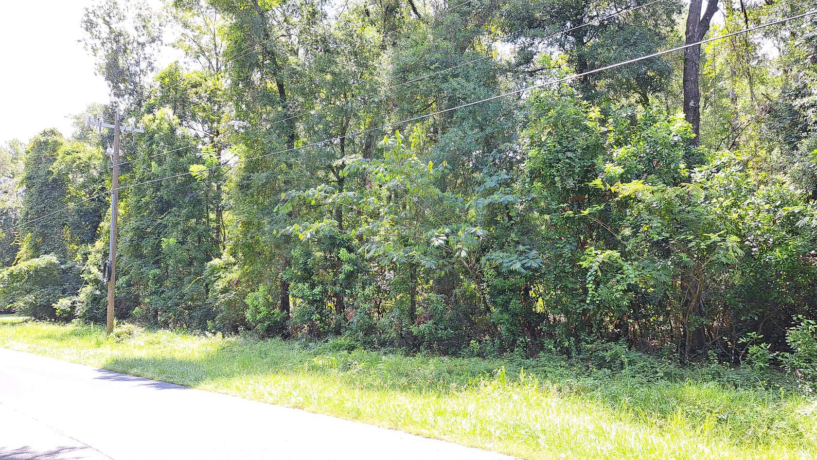 0.92 Acres of Land for Sale in Branford, Florida