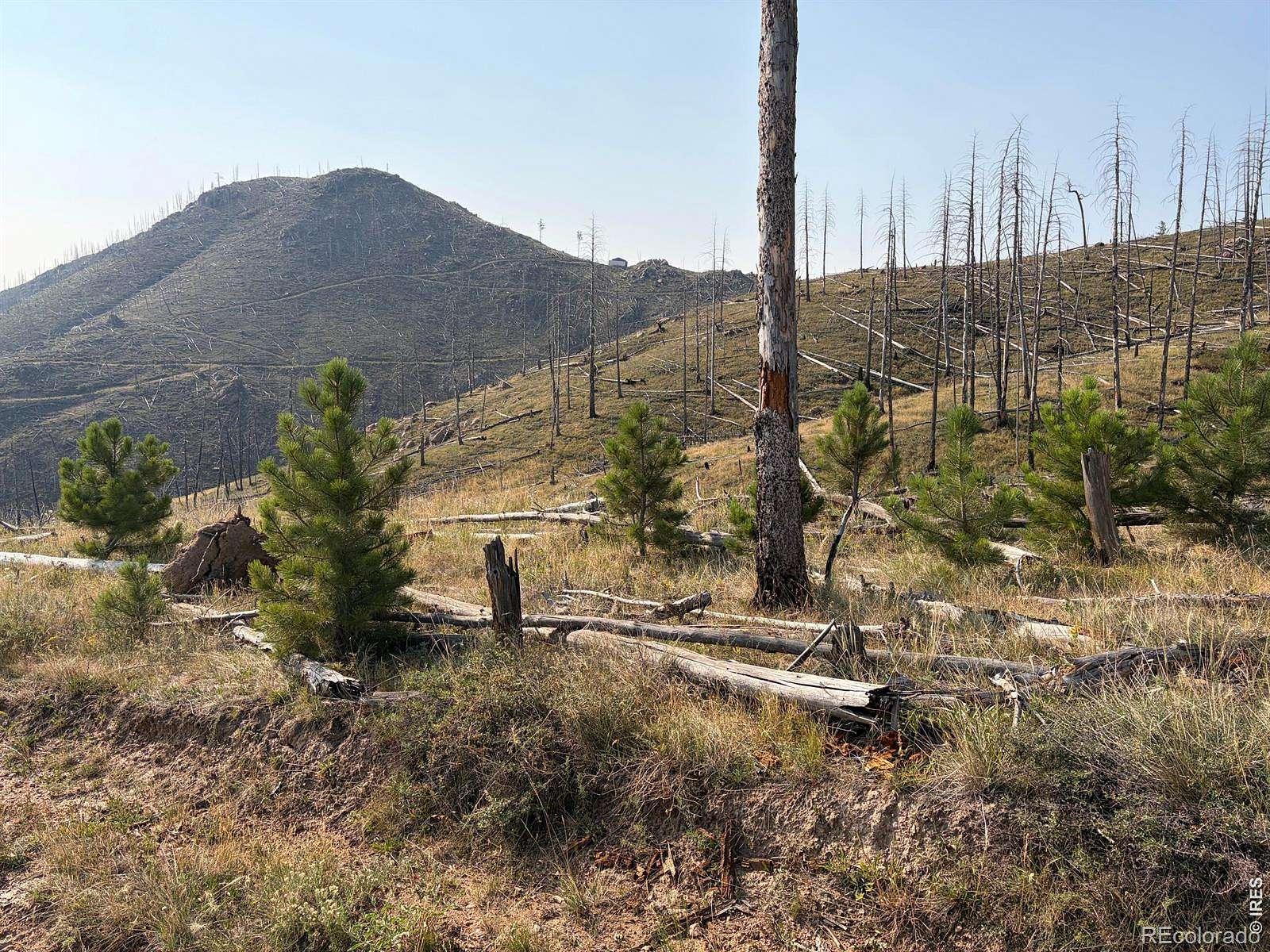 40 Acres of Recreational Land for Sale in Bellvue, Colorado
