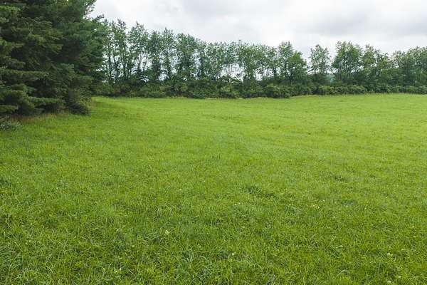 15.4 Acres of Land for Auction in Floyd, Virginia