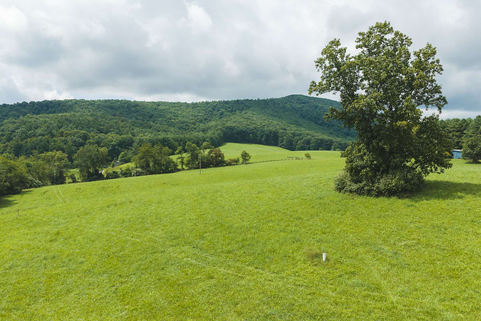 14.2 Acres of Land for Auction in Floyd, Virginia