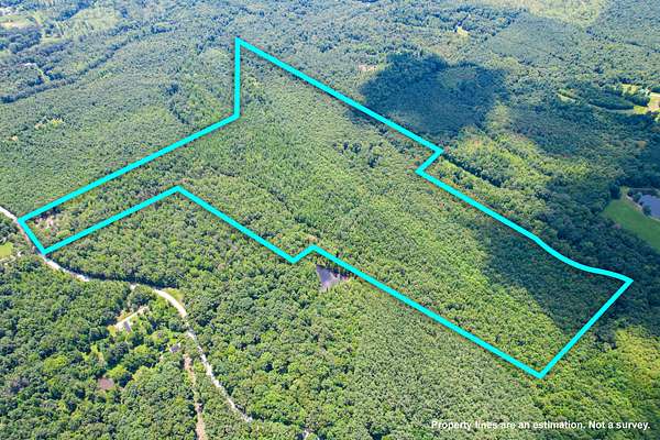 81 Acres of Land for Sale in Blue Springs, Mississippi