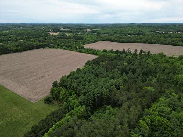 122 Acres of Land for Sale in Redgranite, Wisconsin