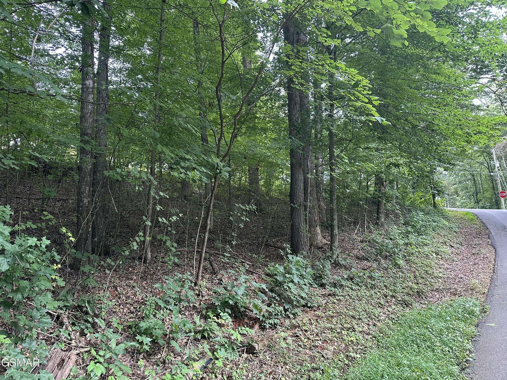 0.32 Acres of Residential Land for Sale in Sevierville, Tennessee