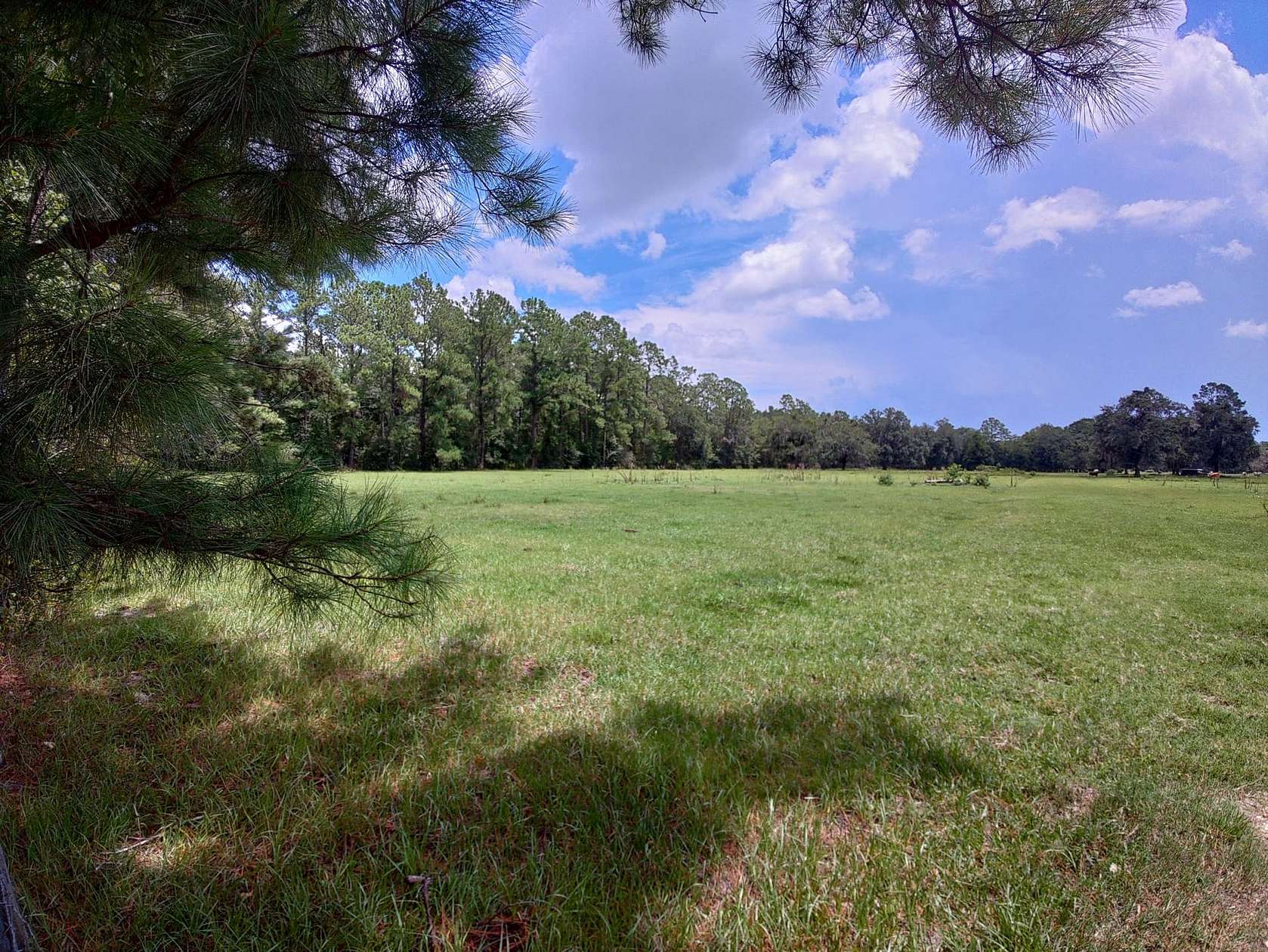 75.9 Acres of Land for Sale in Alachua, Florida