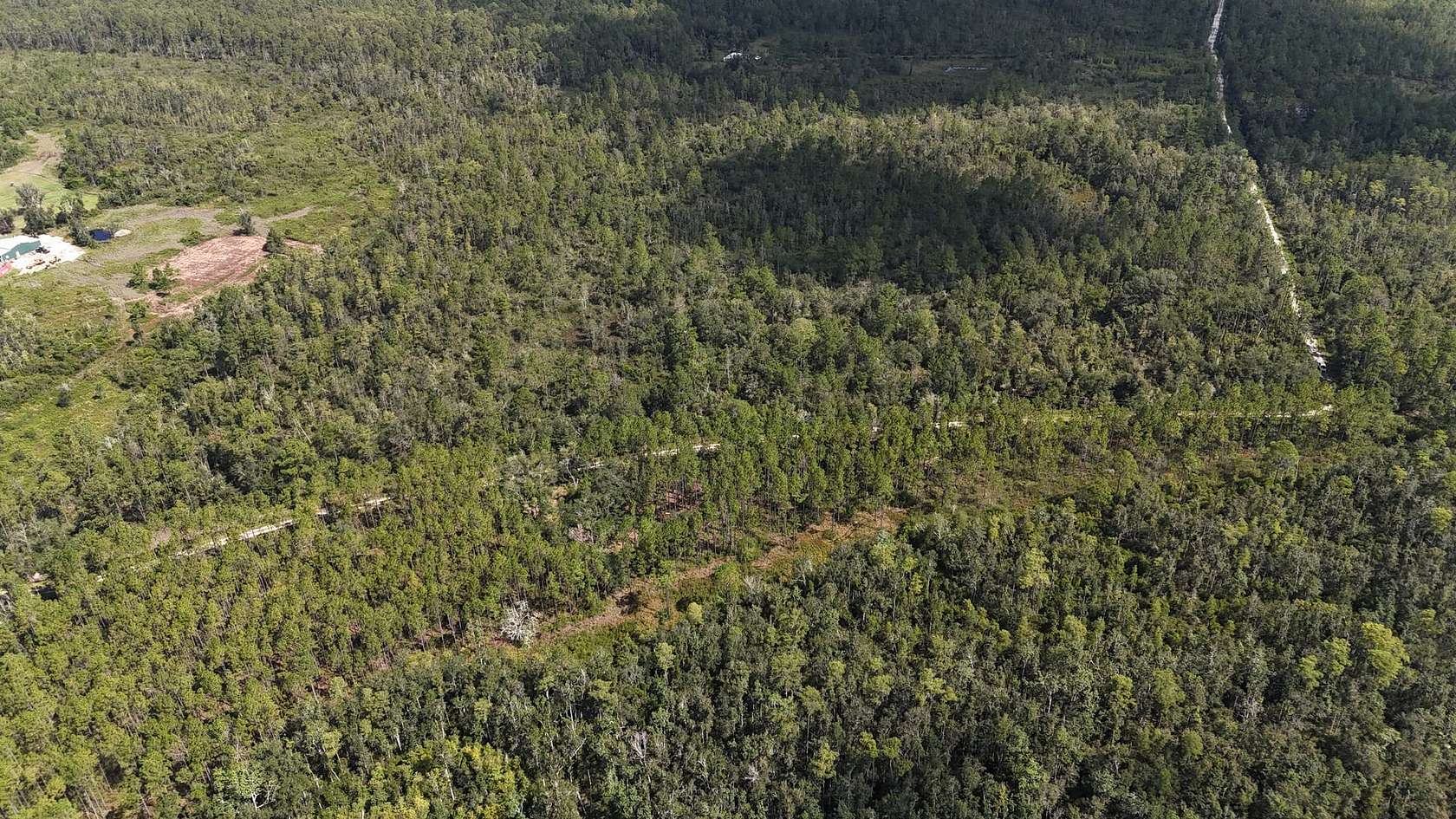40.7 Acres of Recreational Land for Sale in Madison, Florida
