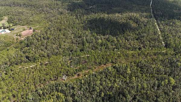 40.7 Acres of Recreational Land for Sale in Madison, Florida
