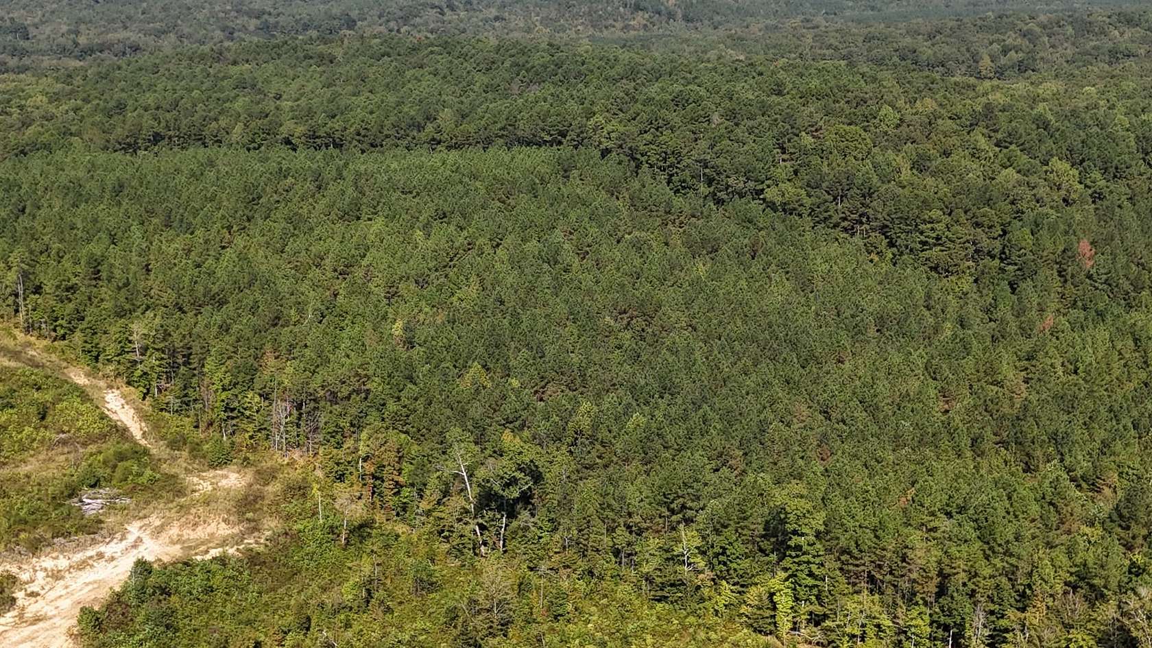 75 Acres of Recreational Land for Sale in Ashland, Mississippi