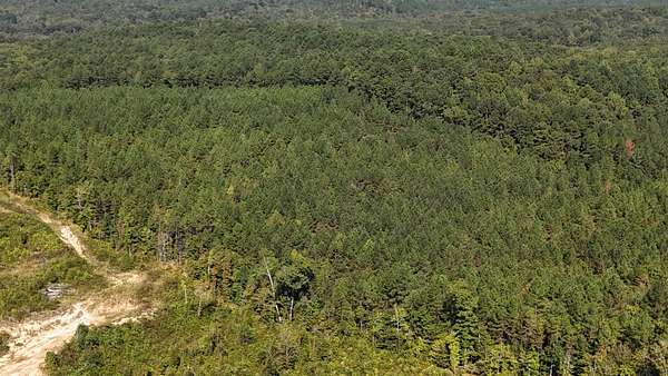 75 Acres of Recreational Land for Sale in Ashland, Mississippi