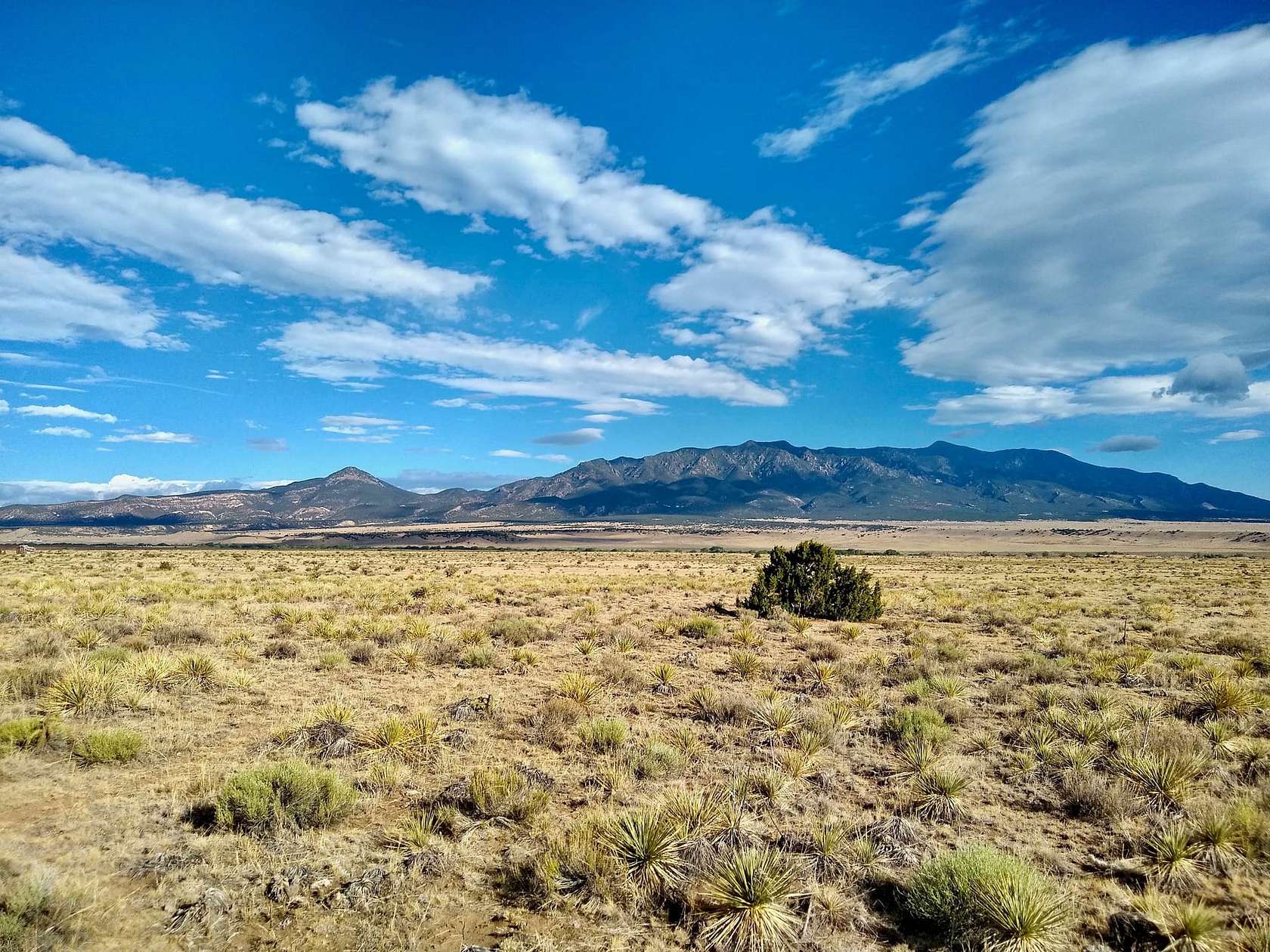 41 Acres of Recreational & Residential Land for Sale in Walsenburg, Colorado