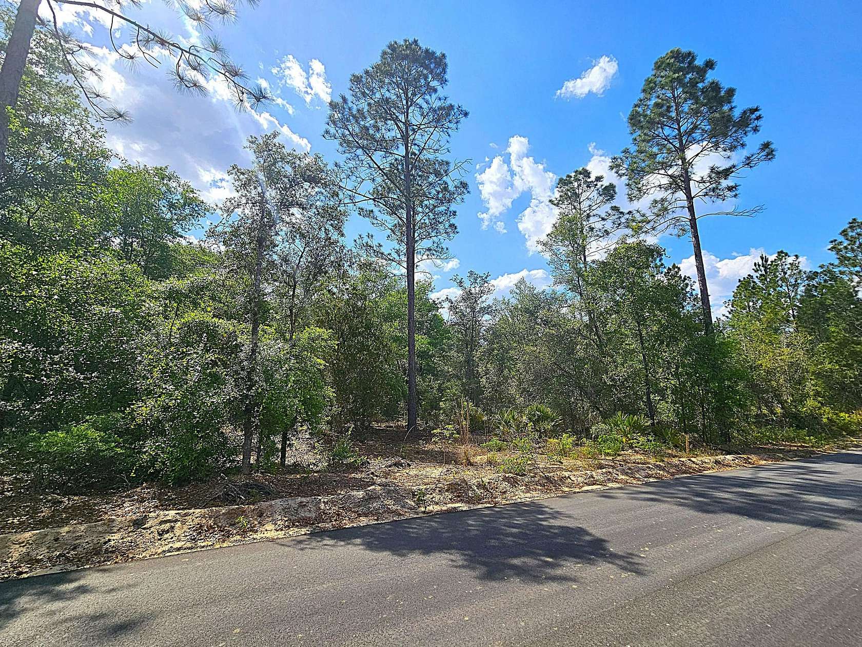 2.19 Acres of Land for Sale in Blackshear, Georgia
