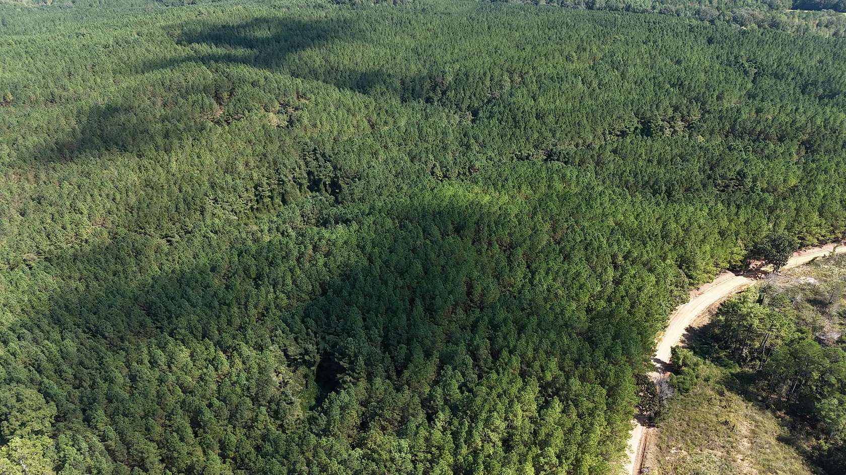 48.5 Acres of Recreational Land for Sale in Pleasant Ridge, Mississippi