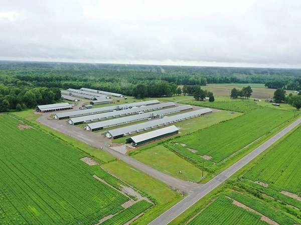 48 Acres of Agricultural Land with Home for Sale in Pinetops, North Carolina