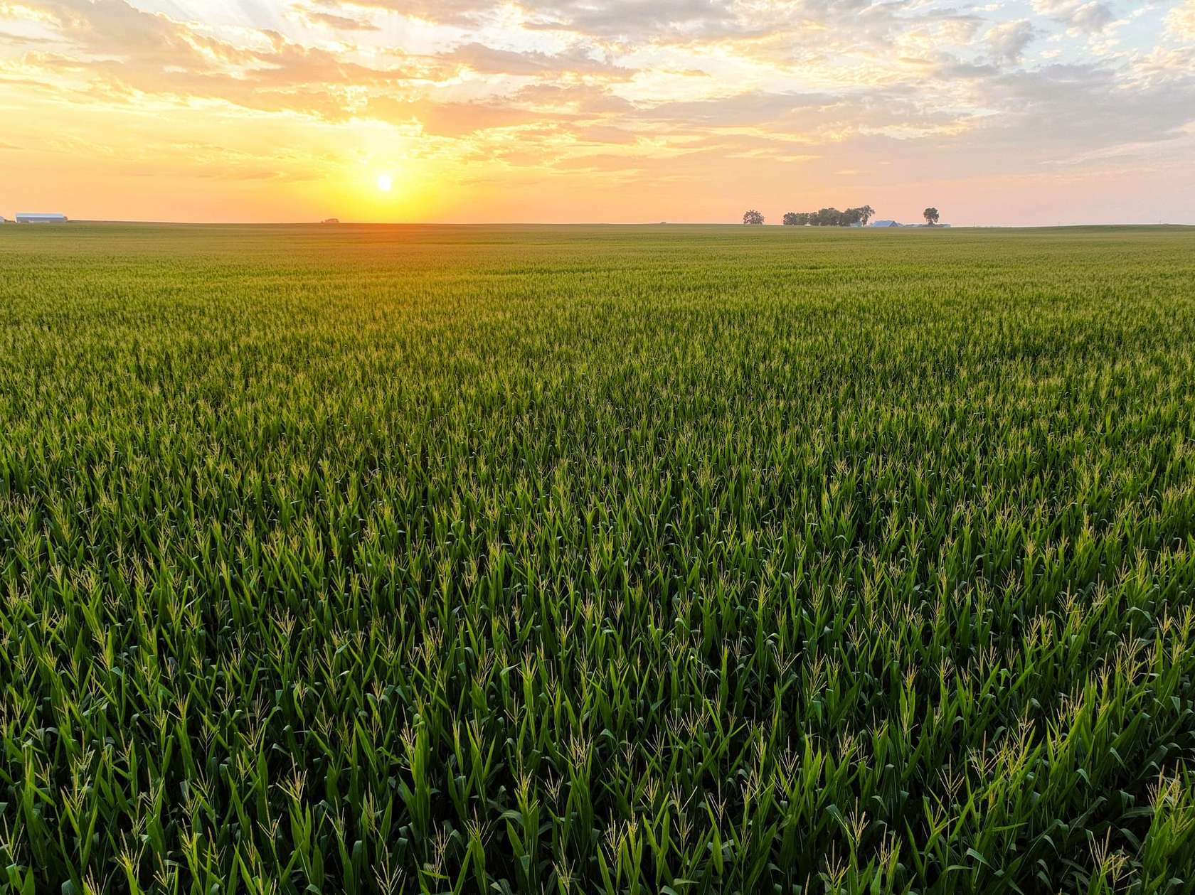 160 Acres of Land for Auction in Pilot Mound, Iowa