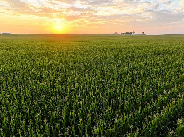 160 Acres of Land for Auction in Pilot Mound, Iowa