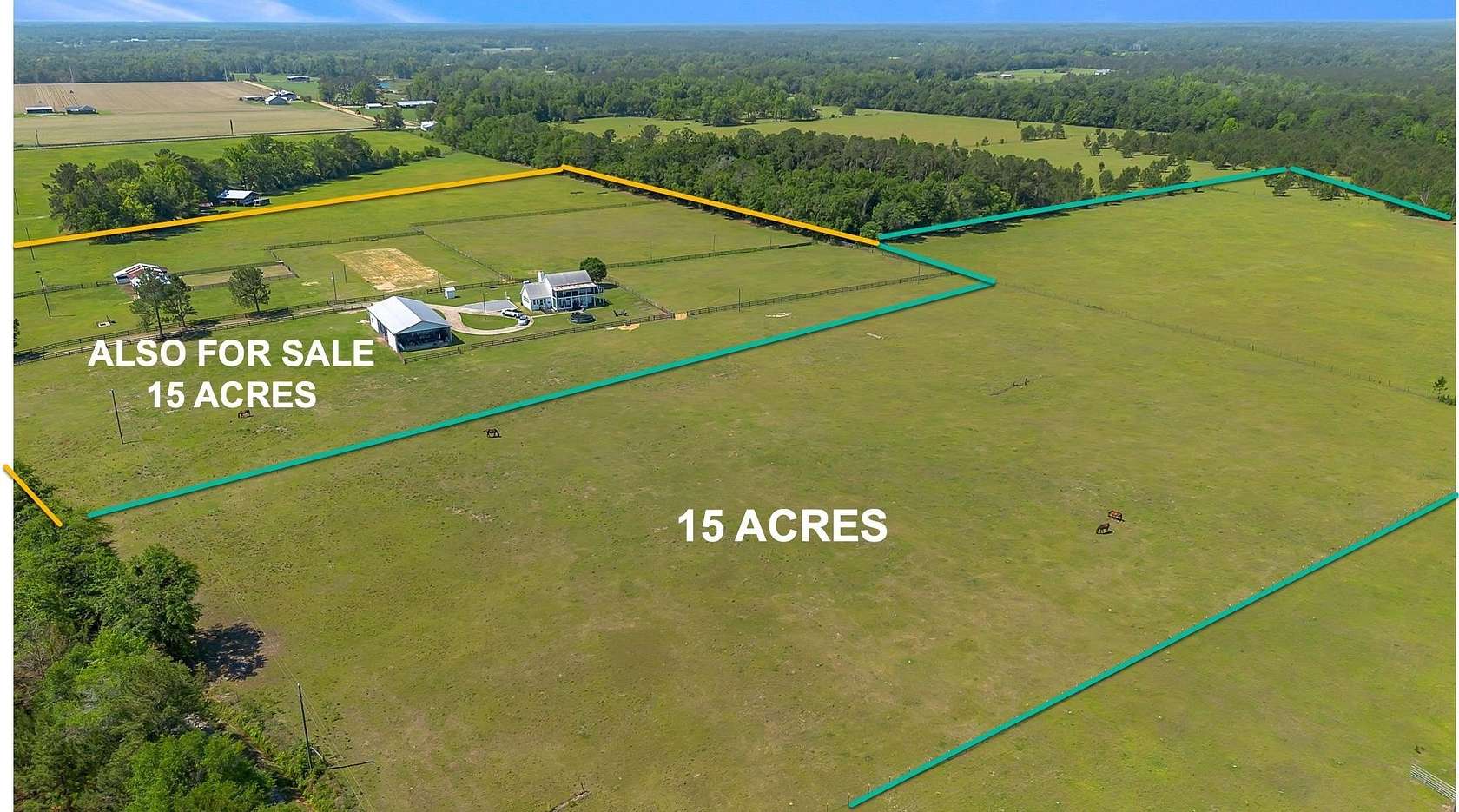 15 Acres of Agricultural Land for Sale in Chattahoochee, Florida