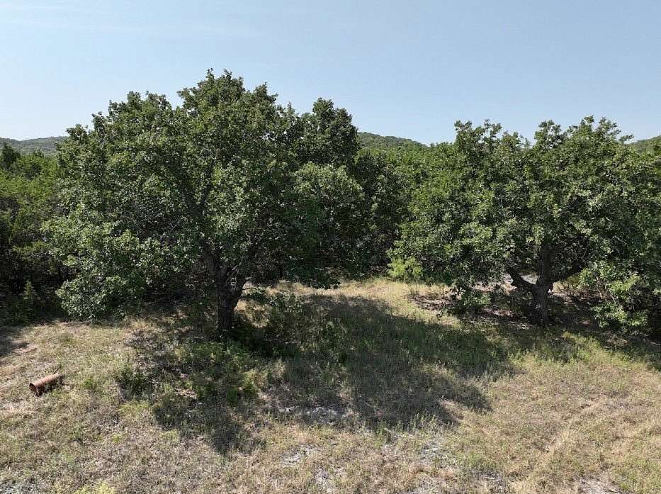 44 Acres of Land for Sale in Tuscola, Texas