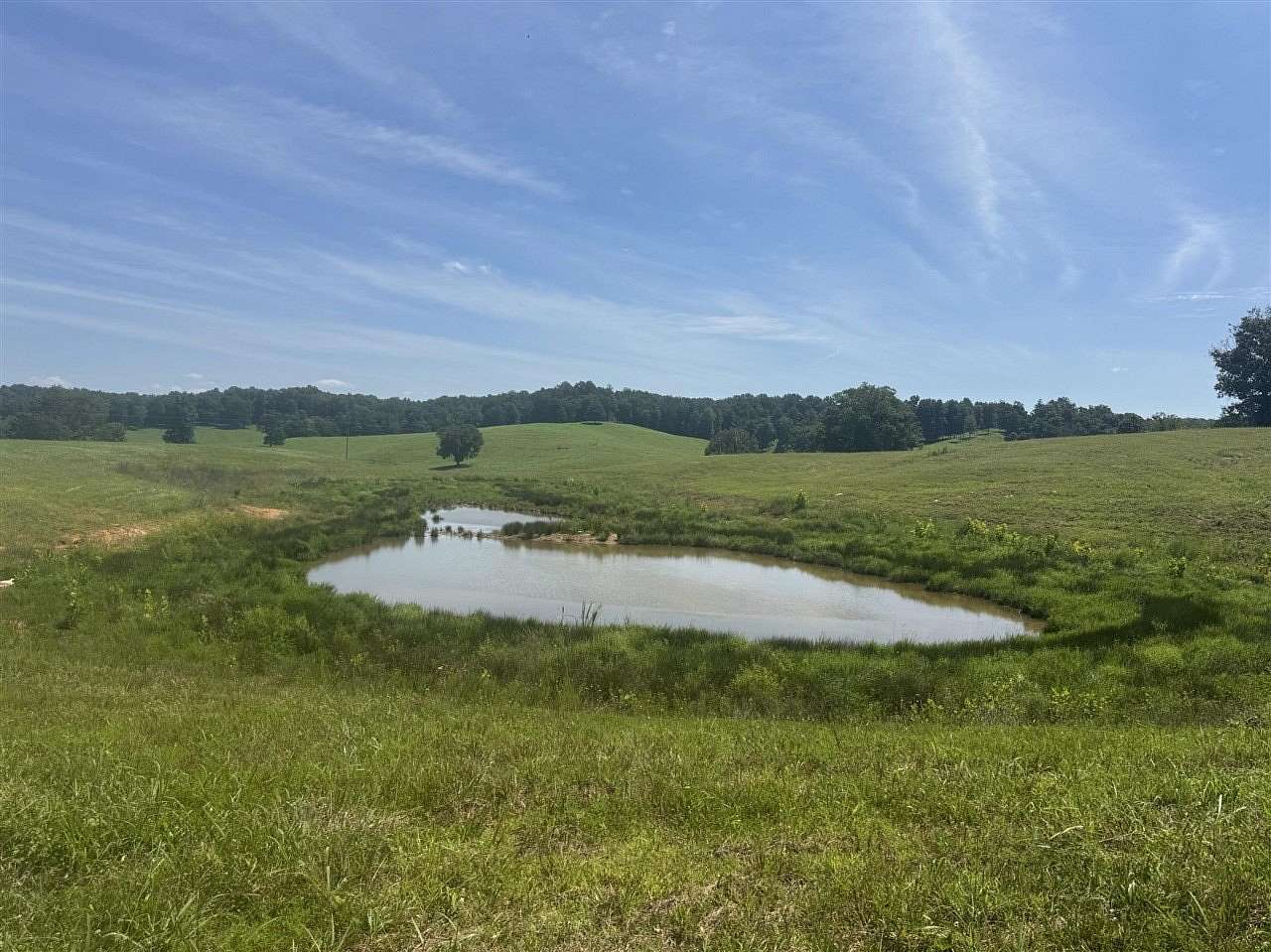 48 Acres of Land for Sale in Munfordville, Kentucky