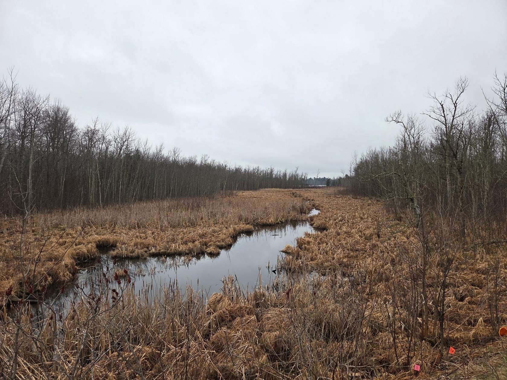 42.3 Acres of Recreational & Residential Land for Sale in Longville, Minnesota