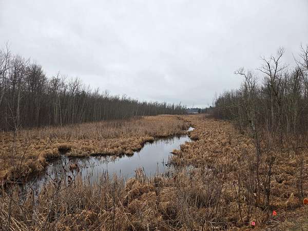 42.3 Acres of Recreational & Residential Land for Sale in Longville, Minnesota