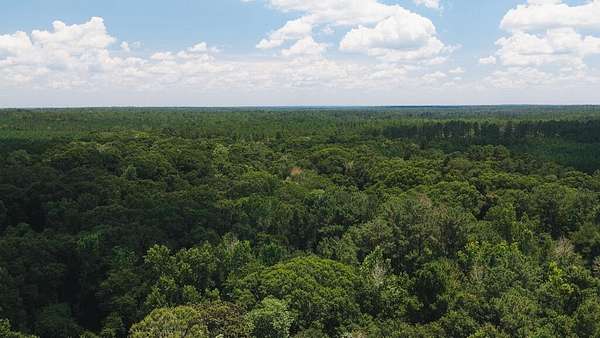 20 Acres of Recreational & Residential Land for Sale in Thomasville, Georgia