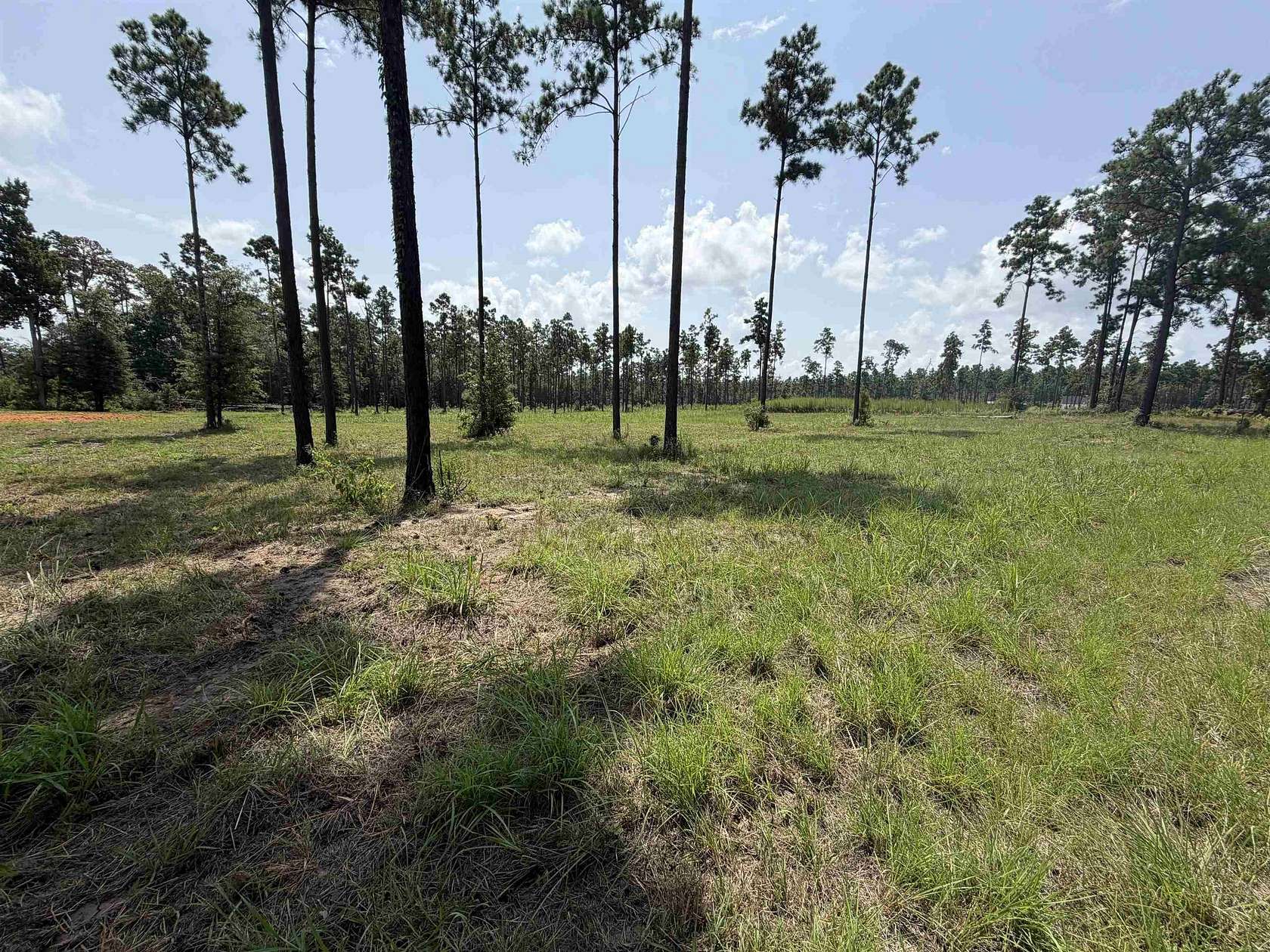 1 Acre of Residential Land for Sale in Brookeland, Texas