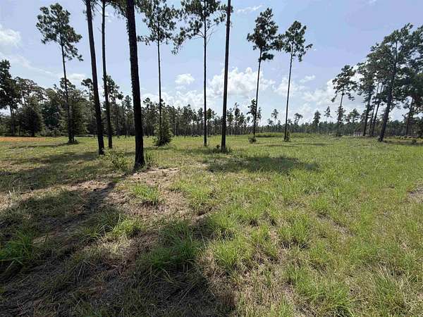 1 Acre of Residential Land for Sale in Brookeland, Texas