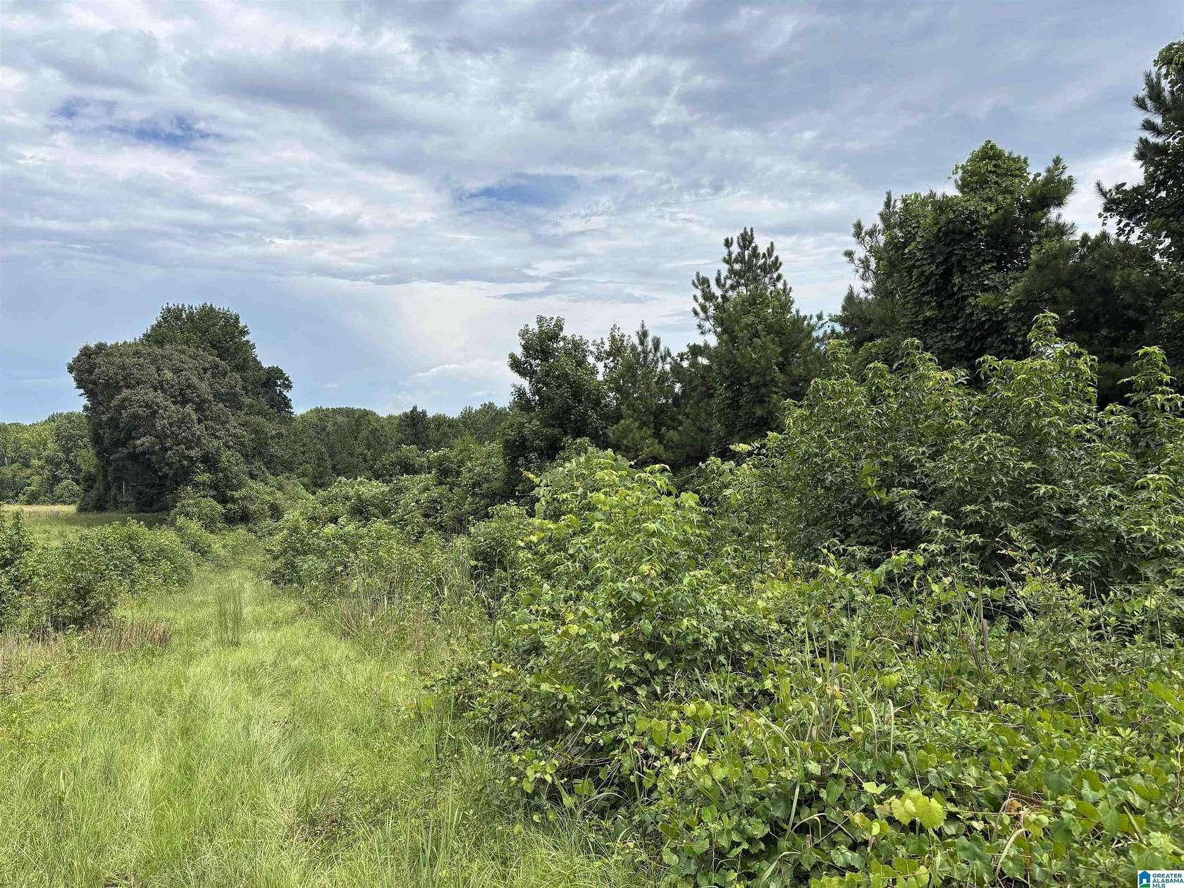 9.84 Acres of Land for Sale in Wadley, Alabama
