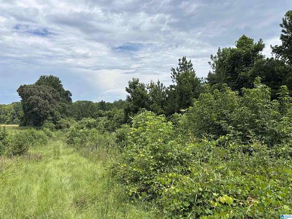 9.84 Acres of Land for Sale in Wadley, Alabama