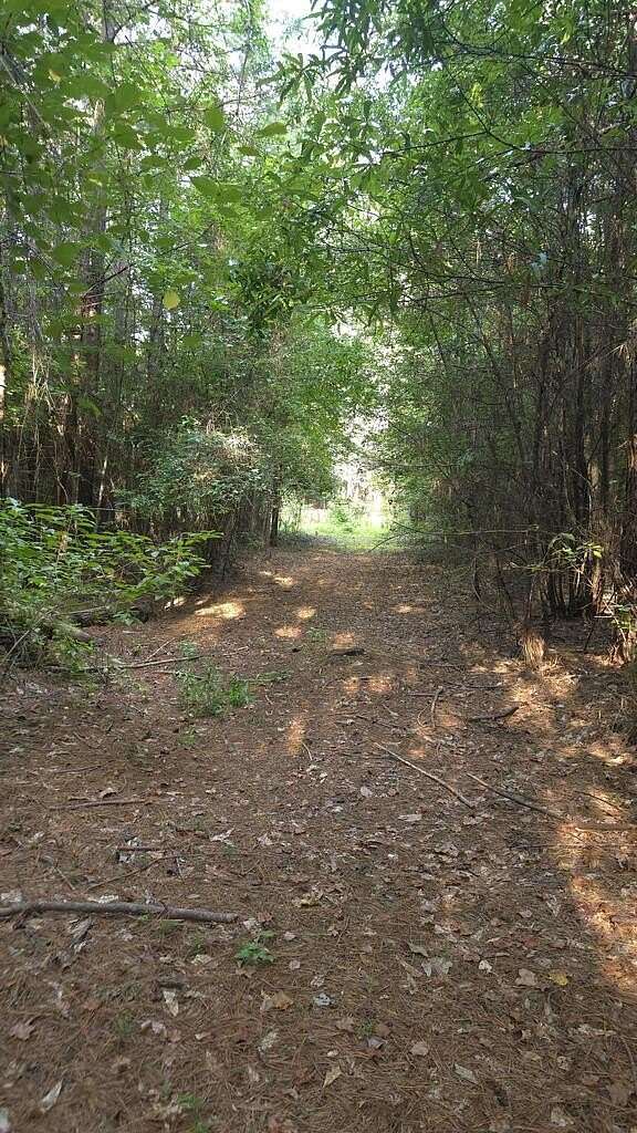 15.6 Acres of Land for Sale in Pine Mountain, Georgia