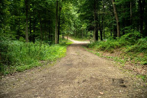 90.8 Acres of Recreational & Residential Land for Sale in Hastings, Michigan