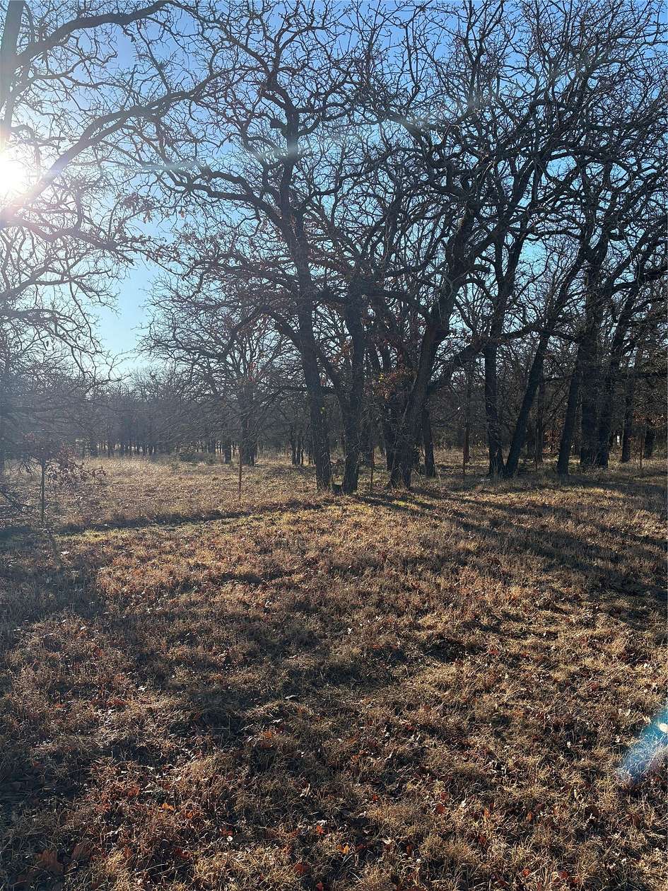 20 Acres of Land for Sale in Hico, Texas