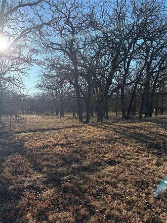 20 Acres of Land for Sale in Hico, Texas