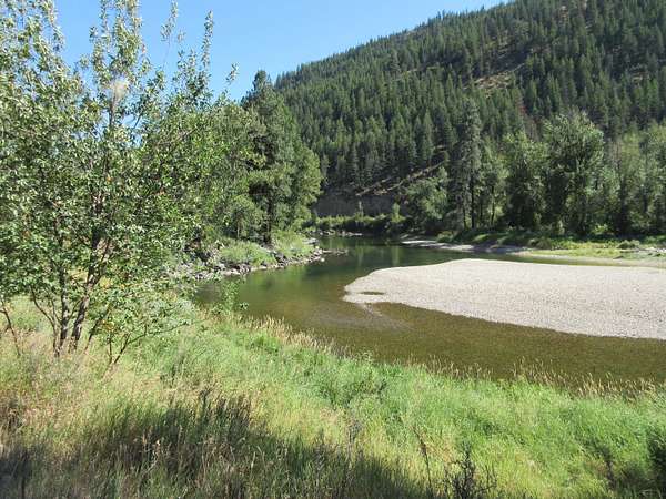 1 Acre of Residential Land for Sale in Curlew, Washington
