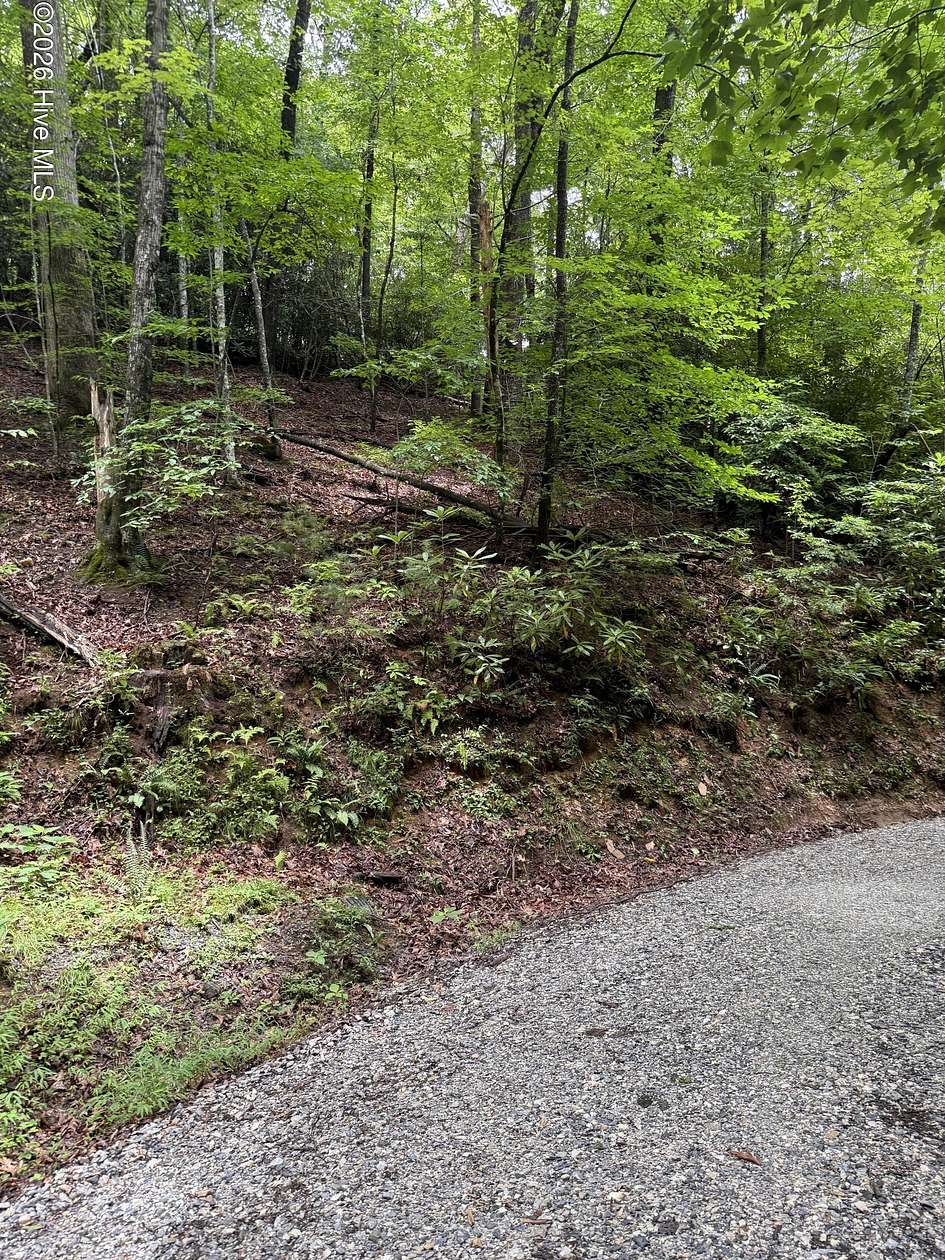 0.99 Acres of Residential Land for Sale in Topton, North Carolina