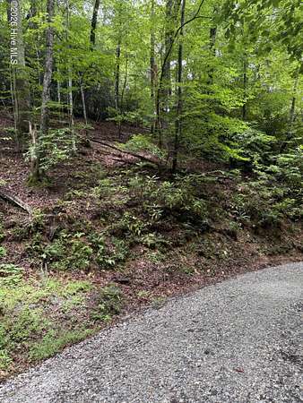 0.99 Acres of Residential Land for Sale in Topton, North Carolina