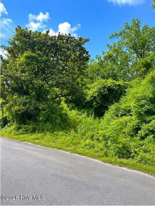 0.08 Acres of Residential Land for Sale in Jacksonville, North Carolina