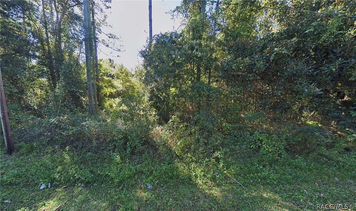 2 Acres of Residential Land for Sale in Raiford, Florida