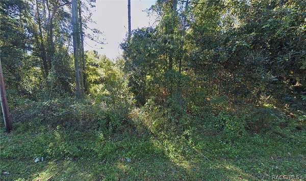 2 Acres of Residential Land for Sale in Raiford, Florida