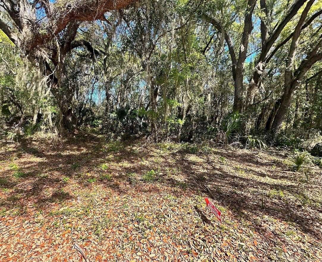 0.3 Acres of Residential Land for Sale in Ocklawaha, Florida