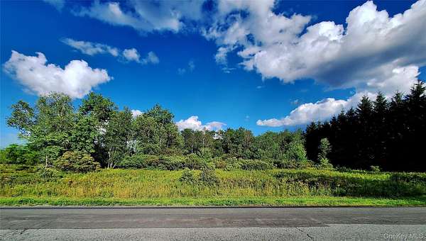 3 Acres of Residential Land for Sale in Fallsburg, New York